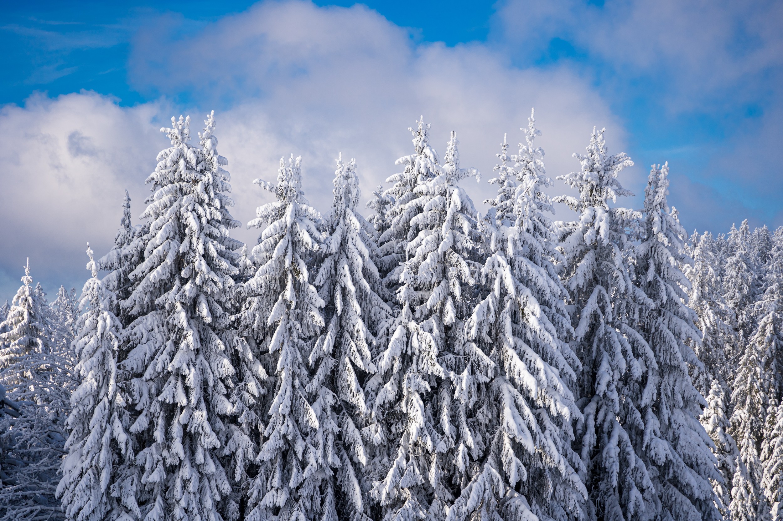 Winter Martinskapelle 2 01169