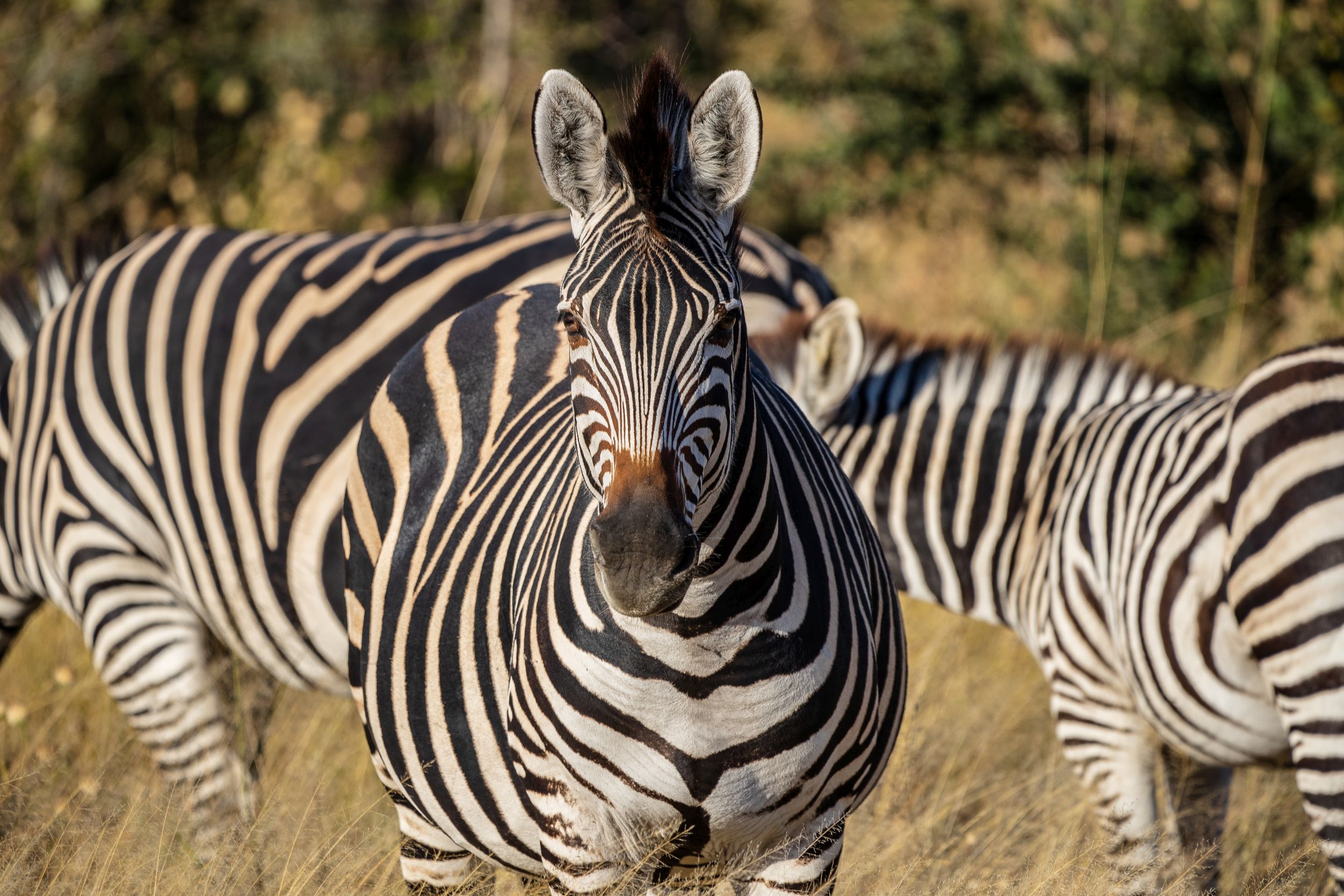 Urlaub2018 45S 00137