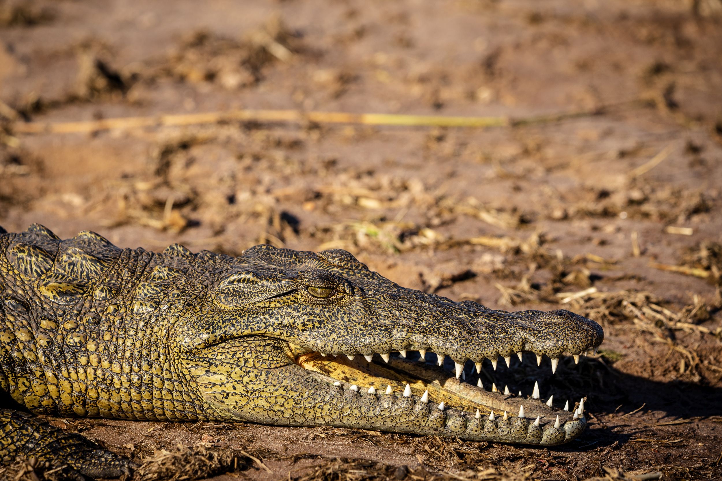 Urlaub2018 45S 00251