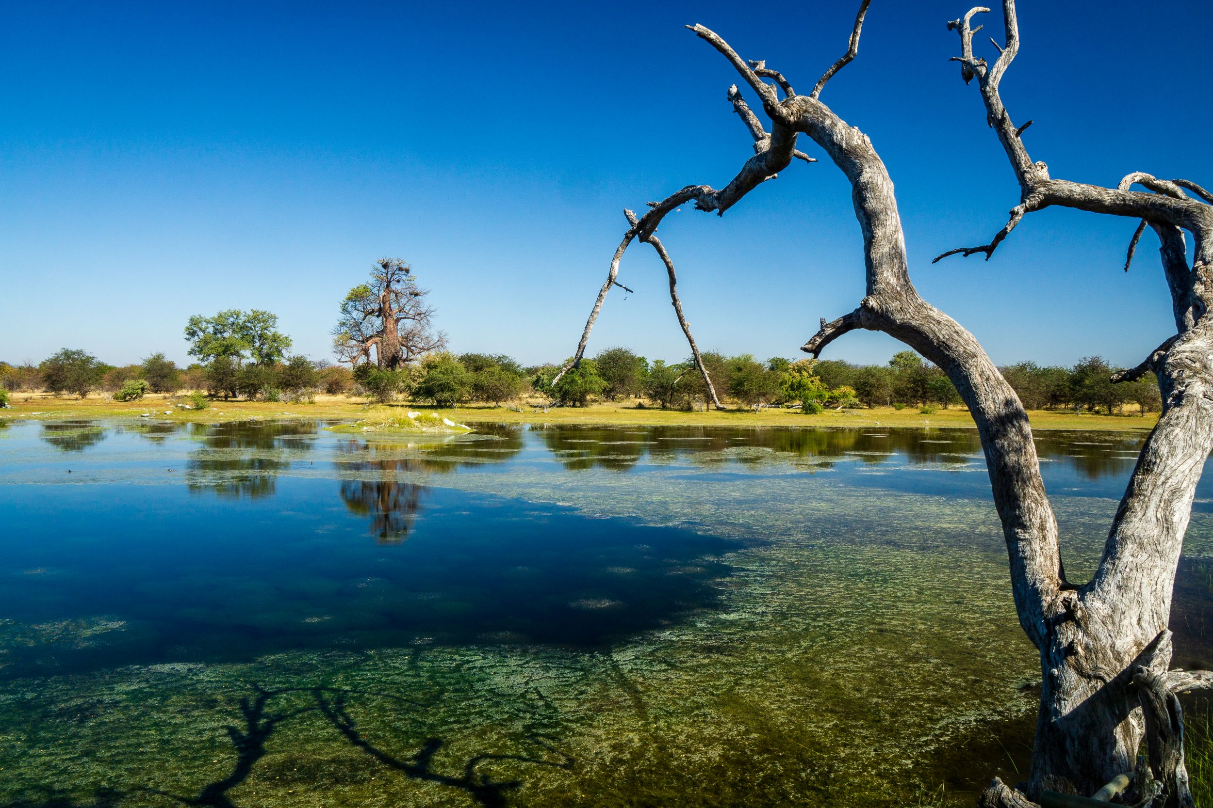 Urlaub2018 45S 00258 2