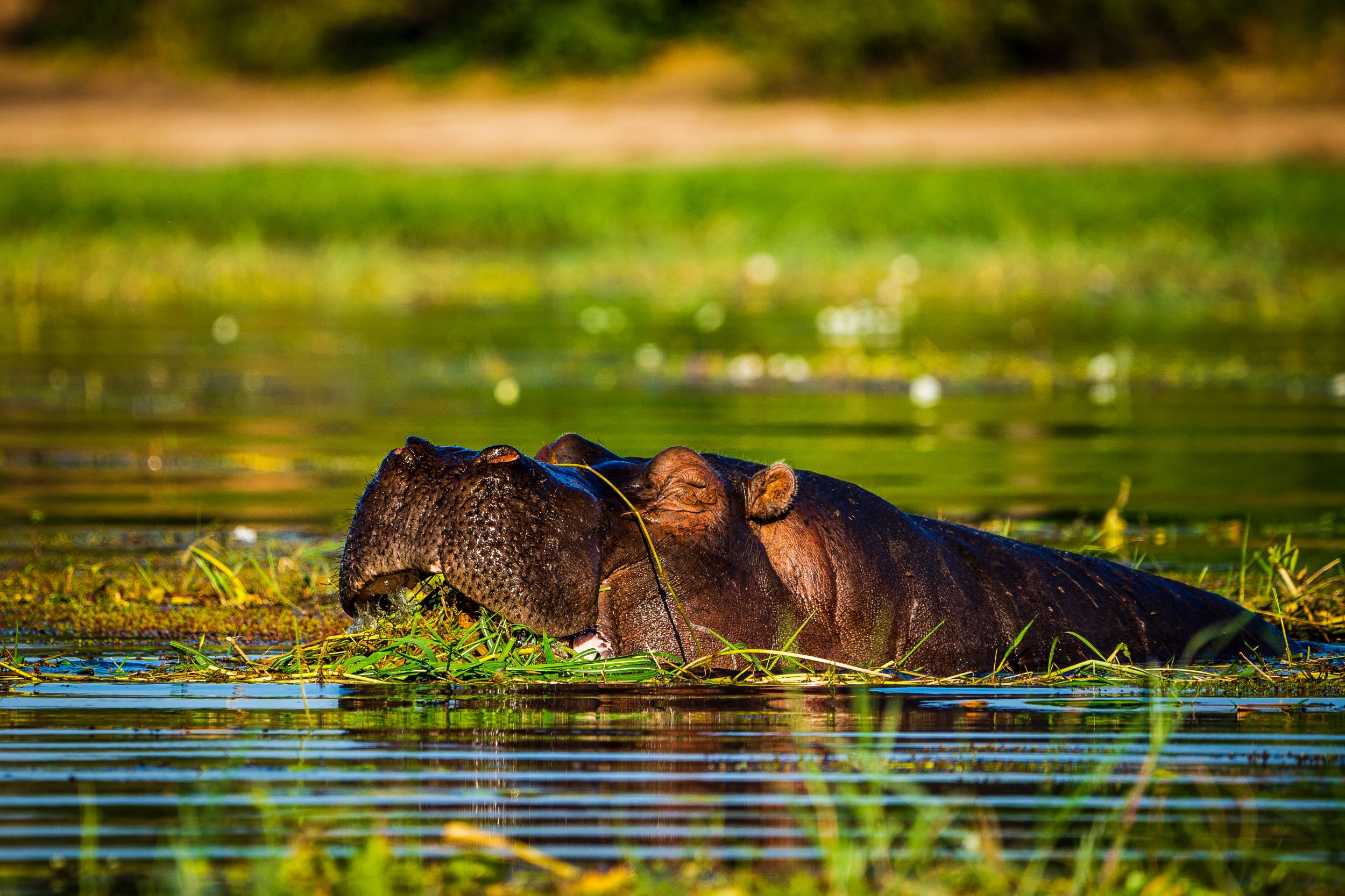 Urlaub2018 45S 00280