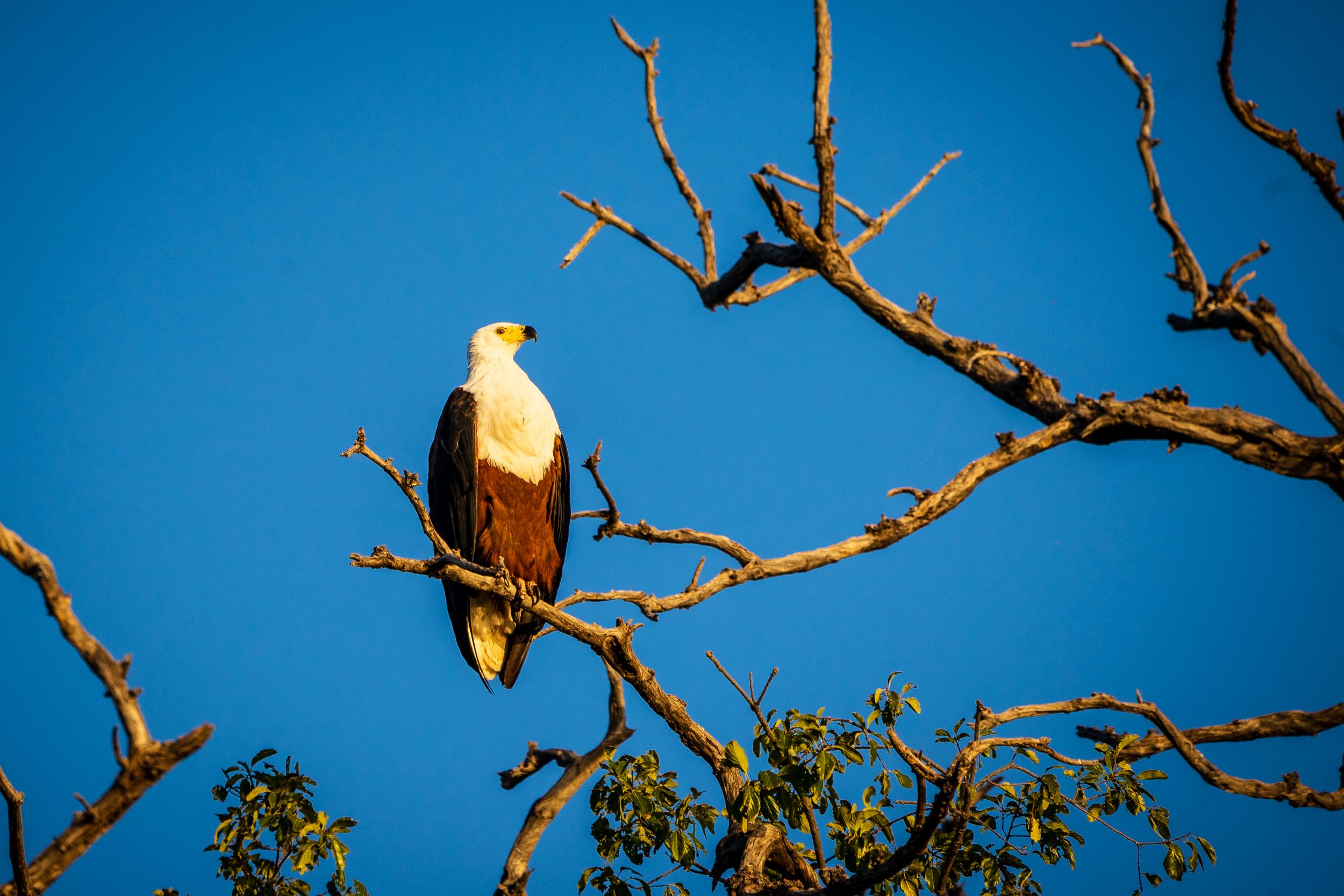 Urlaub2018 45S 00406