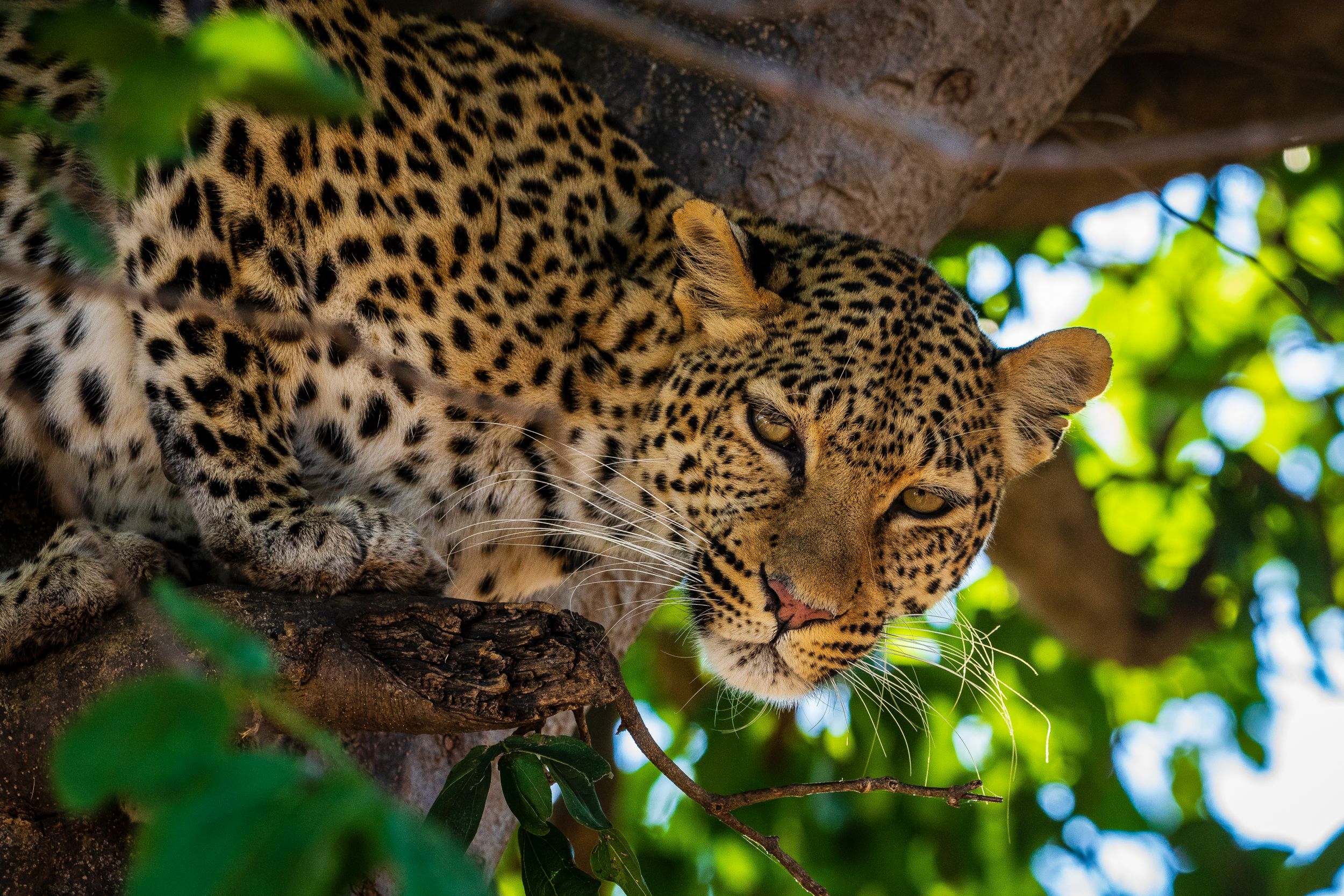 Urlaub2018 45S 00510