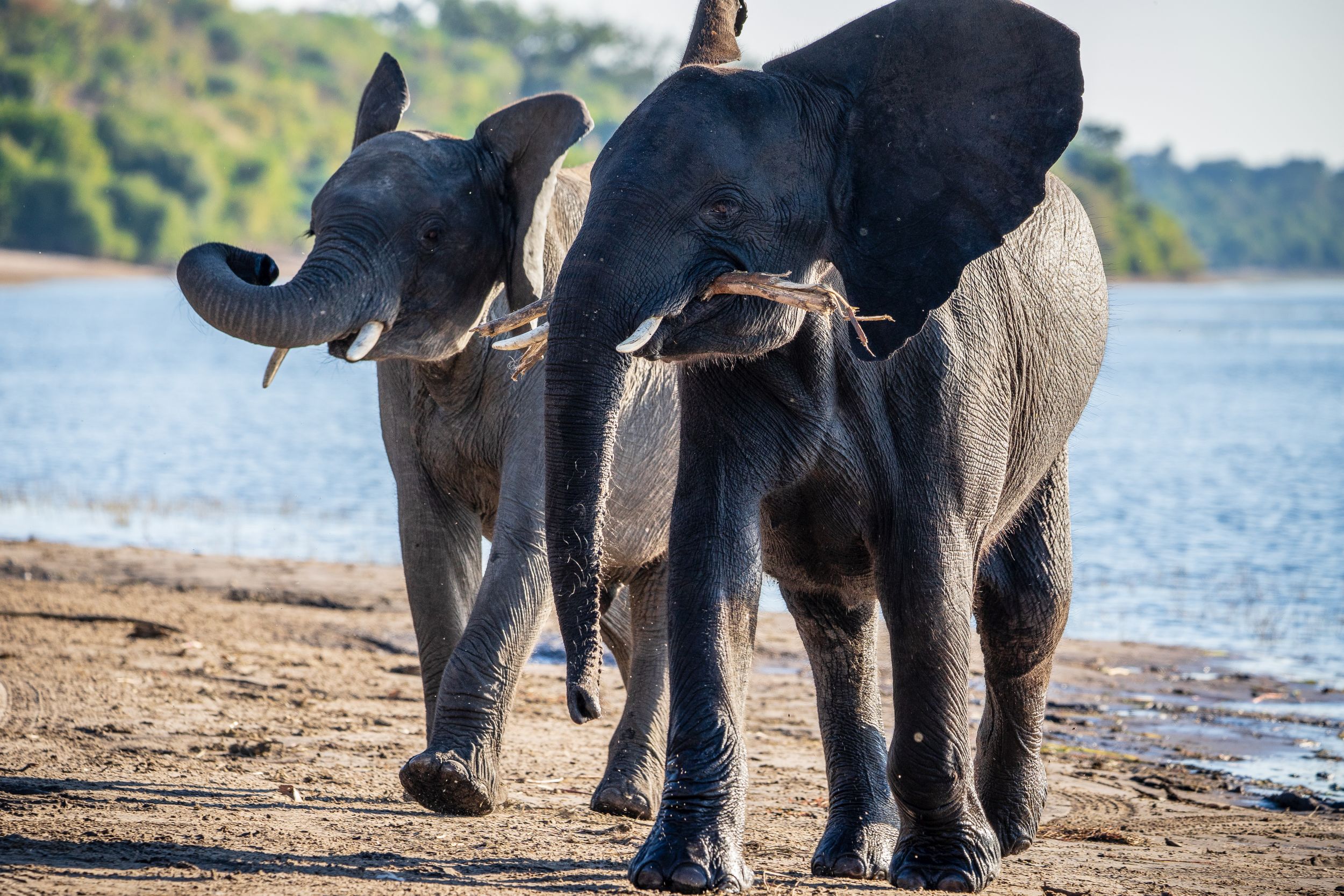 Urlaub2018 45S 00625