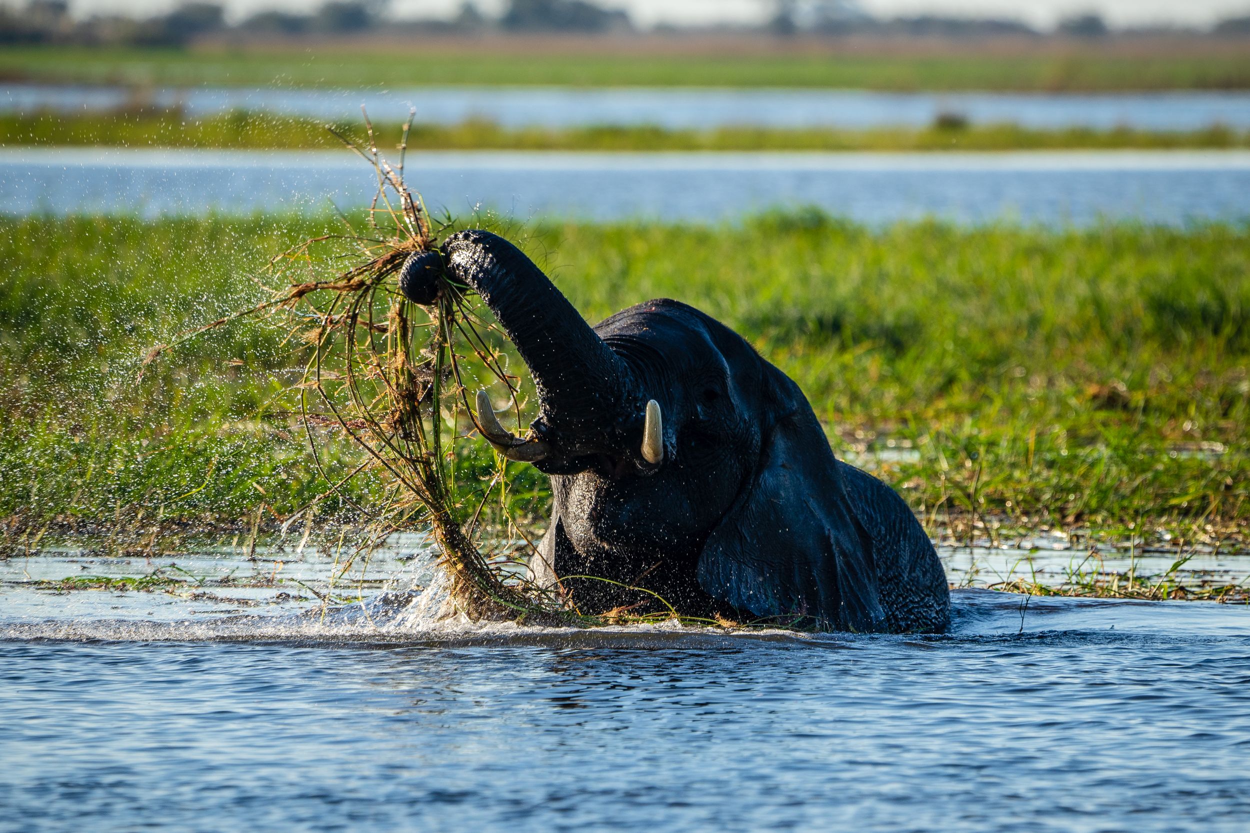Urlaub2018 45S 00644