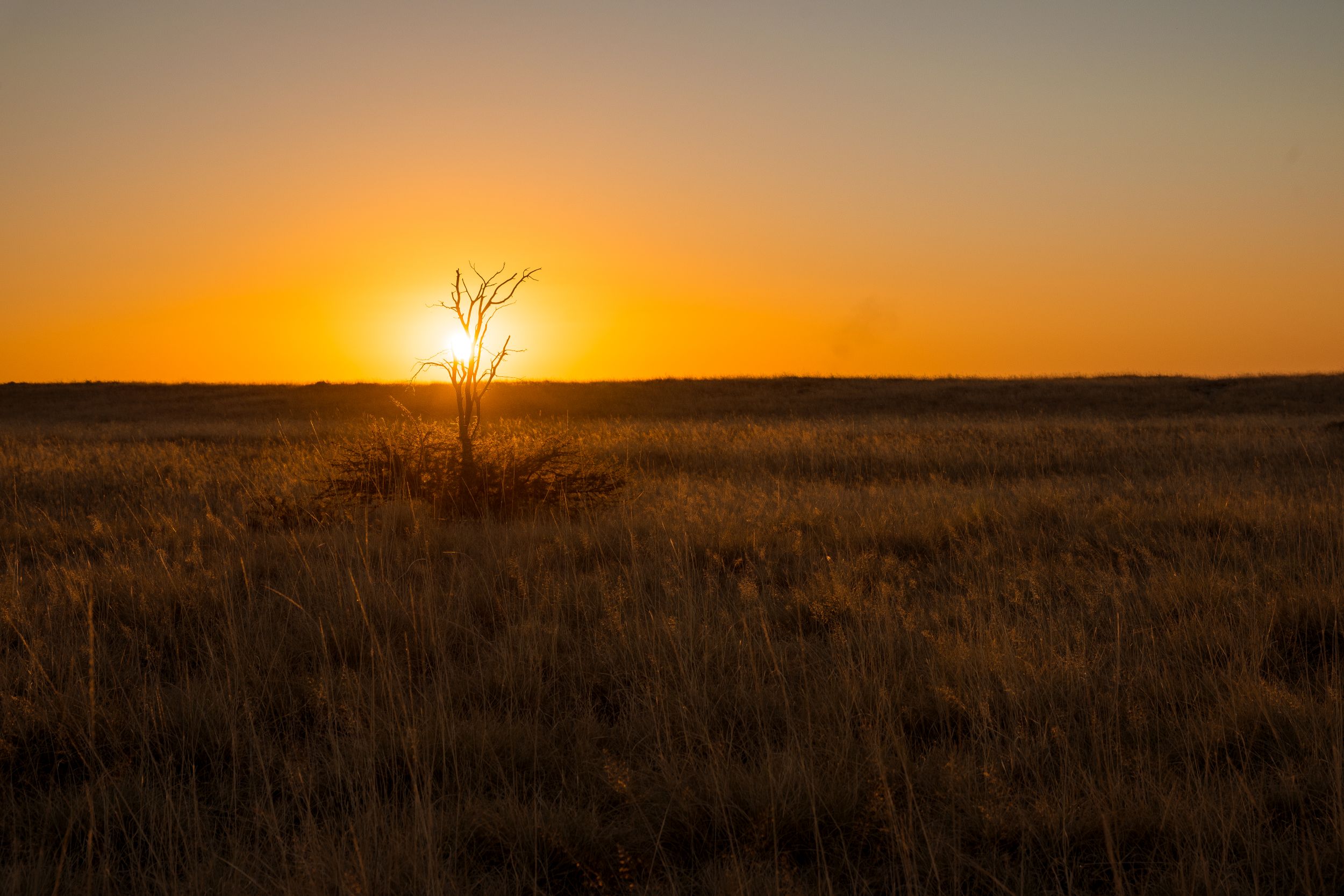 Urlaub2018 45S 00869