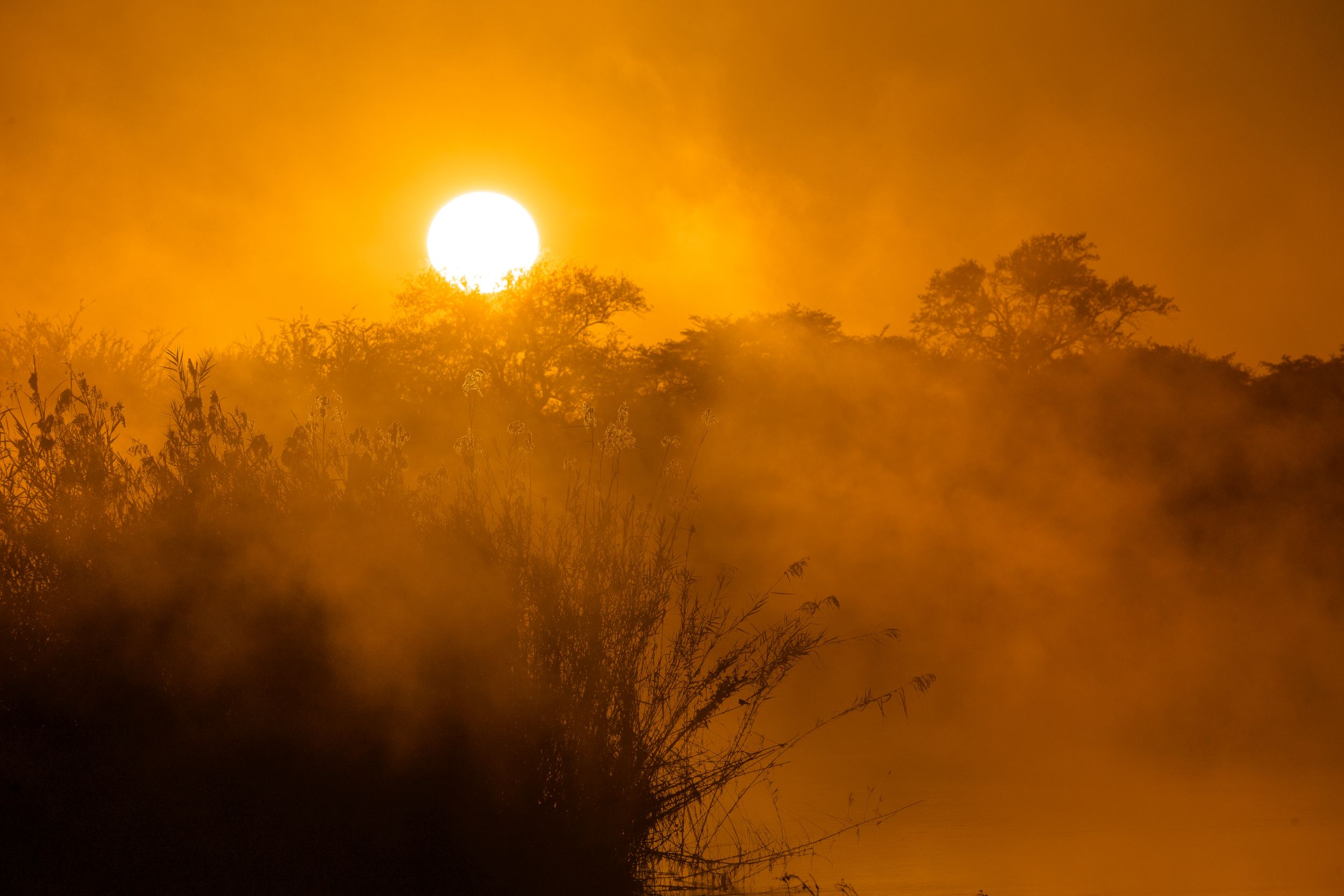 Urlaub2018 45S 09521