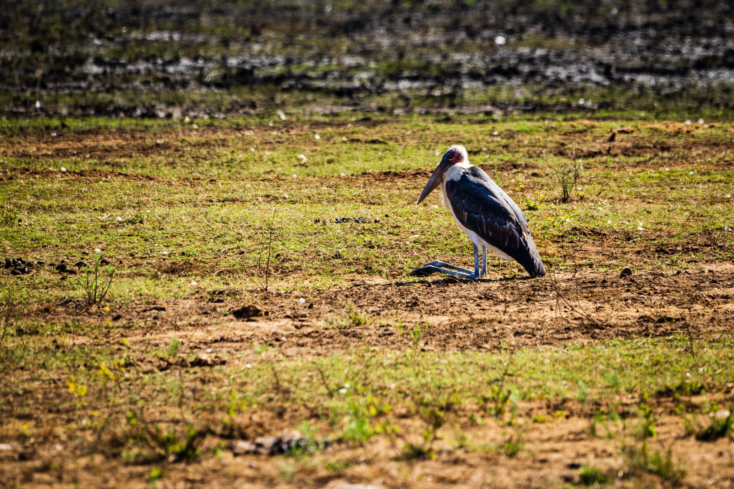 Urlaub2018 45S 09848