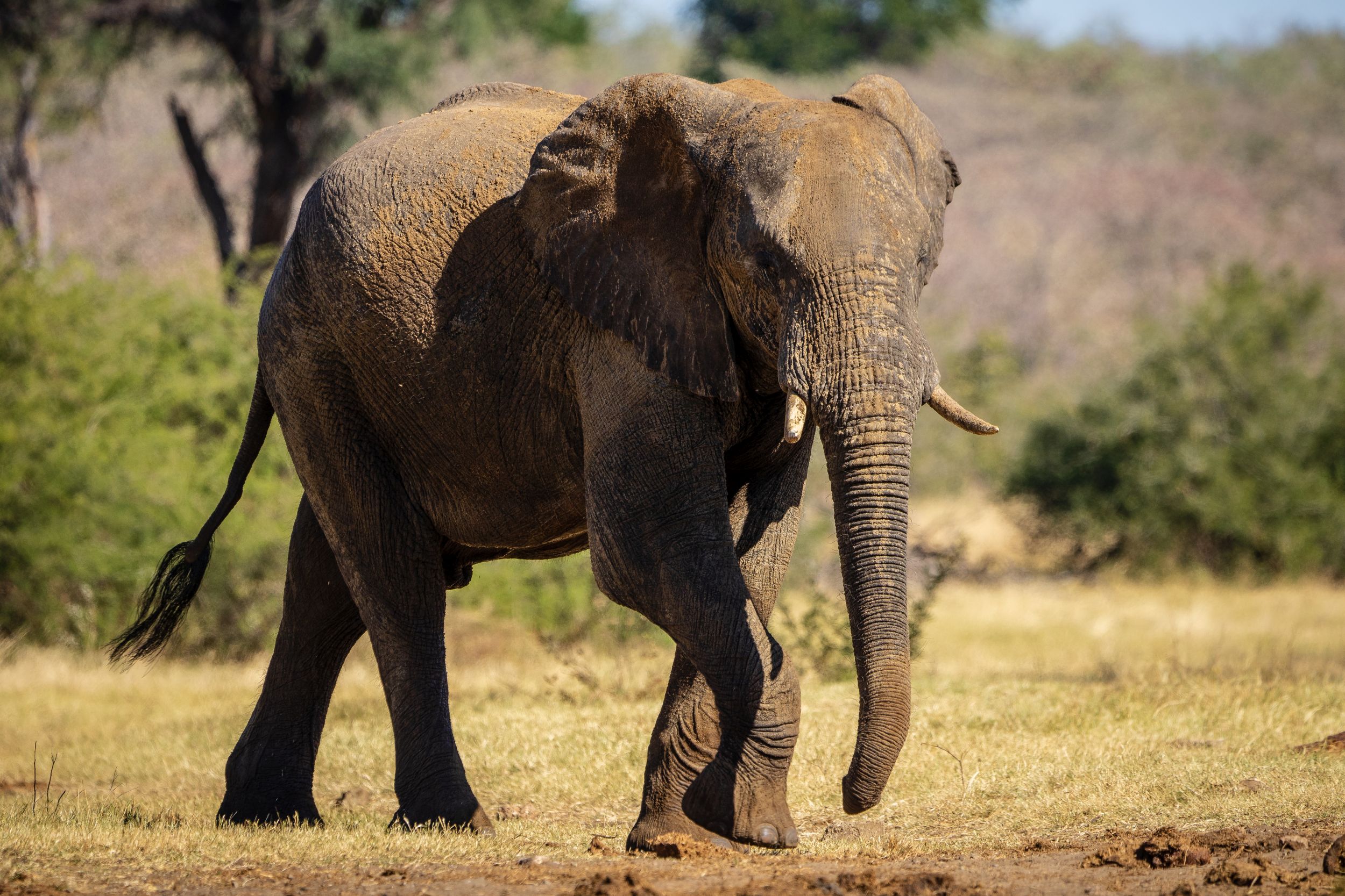 Urlaub2018 45S 09913