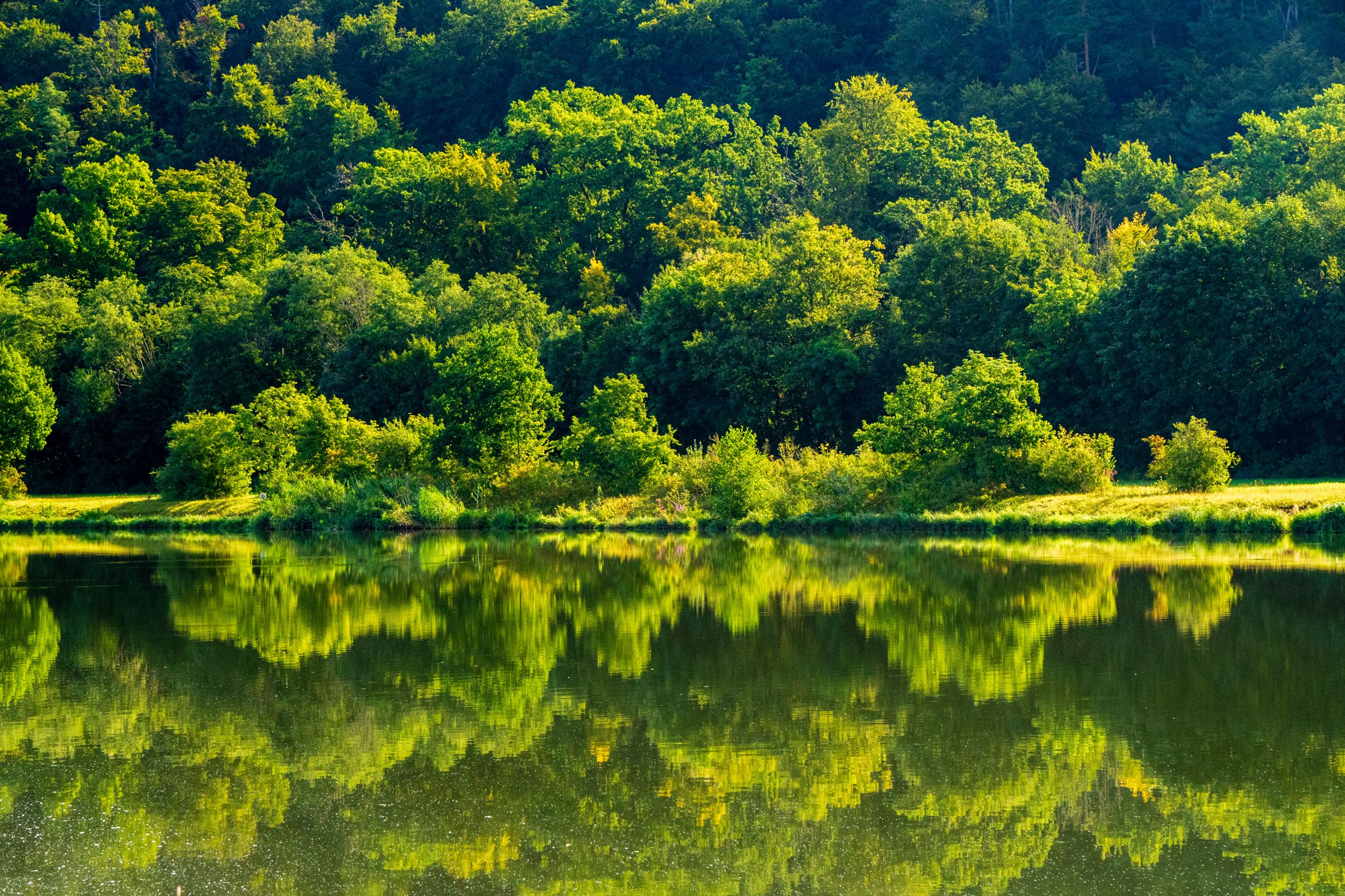 Radreise 5 Flüsse 03453