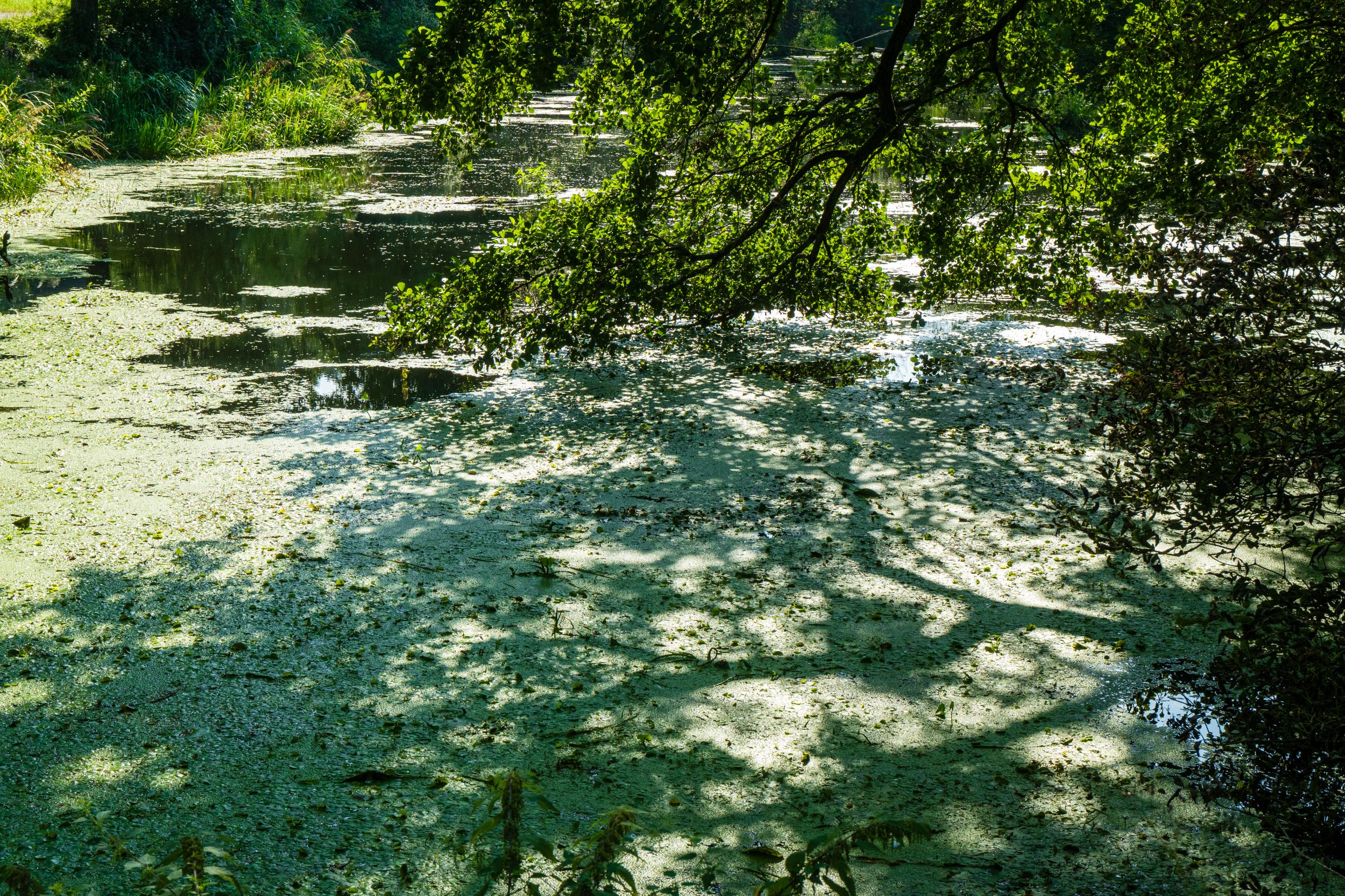 Radreise 5 Flüsse 03469