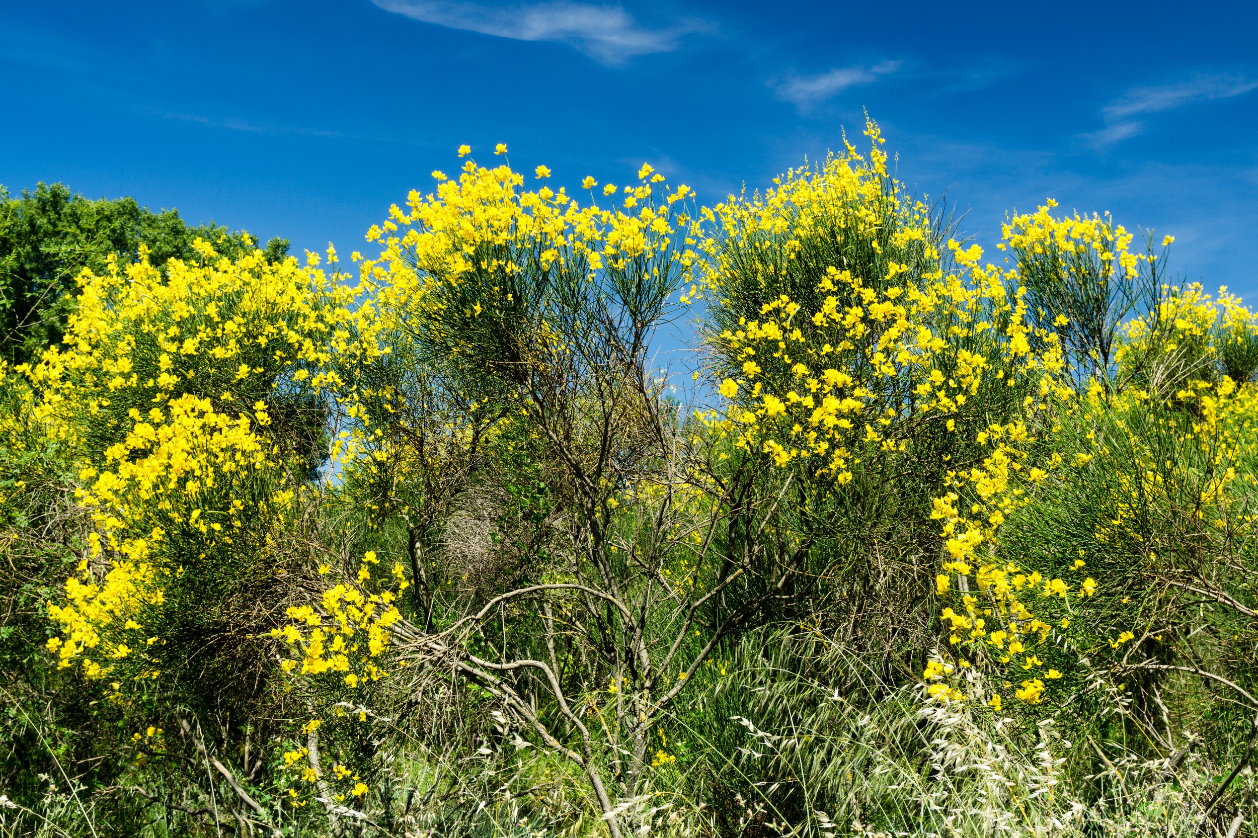 Radreise2017 Buch 09130